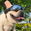 Windproof Pet Sunglasse